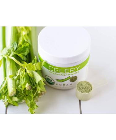 KOYAH Organic USA Grown Celery Powder - 30 Servings, Freeze-dried Whole-Stalk Powder - Buy Online on GoSupps.com