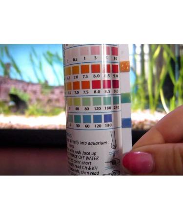 API Freshwater Master Test Kit Kit includes laminated color card 4 test tubes & holding tray - Buy Online on GoSupps.com