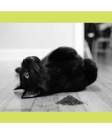 Hoochie Koochie Kitty Catnip 8 oz - All Natural Thick Cut Catnip for Cats - Buy Online on GoSupps.com