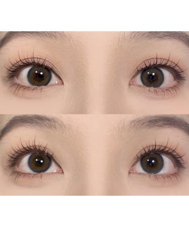 Ninetynine Dreams 5 Pairs Natural Style False Eyelashes - Lightweight, Natural Comfort, Fluffy Soft Daily Eyelashes - Clear Band, 3D Design - Pack of 5 - Buy Online on GoSupps.com