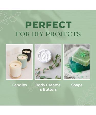 Organic Aloe Vera Oil Therapeutic Premium Oil Moisturizing Cold Pressed 100% Pure Natural Aloe Barbadensis Care for Skin Body Hair Growth Face Moisturizer Baby Oils Used for Massage Bath 4oz Aloe Vera 3.99 Fl Oz (Pa  - Buy Online on GoSupps.com