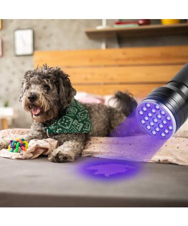 Yosoo Health Gear ET-A5386 UV Torch Ultraviolet Flashlight Portable Torch Lamp 21 LED Blacklight UV Flashlight Torch for Pet Urine Detector Find Stains on Clothes Carpet Rugs Floor - Buy Online on GoSupps.com