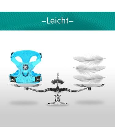 POPOTET Reflective Dog Harness - Soft Breathable Mesh Adjustable Neck & Chest Double Padded Vest No Suffocation - Blue Large - 1 Pack - Buy Online on GoSupps.com