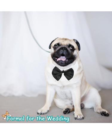 Hacraho Tux Dog Fly White Soft Cotton Formal Dog Collar & Adjustable Tie for Small Dogs & Cats | Perfect for Weddings Birthdays & Parties - Buy Online on GoSupps.com