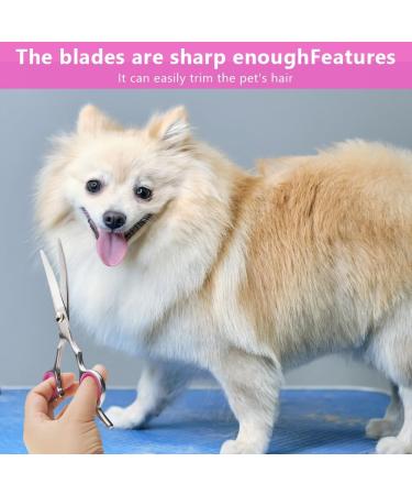 Adiwo Curved Dog Cups - Stainless Steel Pet Care Scissors for Perfect Fur Cutting | Dog Grooming Tools - Buy Online on GoSupps.com