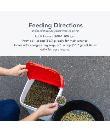 MVP Air-Way EQ (5lb) Supports Healthy Lung Function and Seasonal Allergy Support in Horses - Buy Online on GoSupps.com