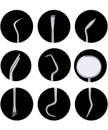 6-Seater Dental Care Set - Stainless Steel Dentist Instruments & Tartar Remover Kit for Home Use - Buy Online on GoSupps.com