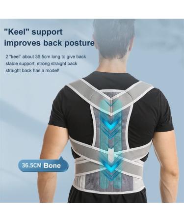 Adjustable Breathable Back Brace Posture Corrector for Men & Women - Pain Relief Support Belt in Gray Size Small - Buy Online on GoSupps.com