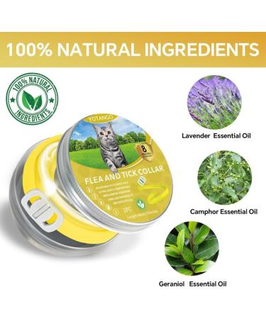 YOTANGO Cat Collar Repellent 1 Pack Cat Collar-Built-in Pant-Based Formula Strong Repellency Slow Release Pleasant Aroma Waterproof (Yellow) - Buy Online on GoSupps.com