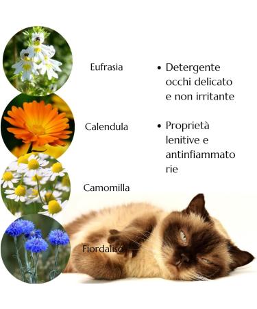 Topvet Cat Eye Cleaner | Natural Allergy Relief with Boric Acid & Herbal Extracts | 50ml - Buy Online on GoSupps.com