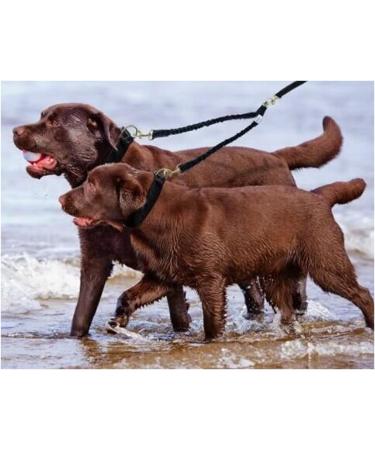 JVHLOV Double Dog Leash - 360 Rotatable for 2 Dogs | Pink | Perfect for Small Medium & Large Dogs - Buy Online on GoSupps.com