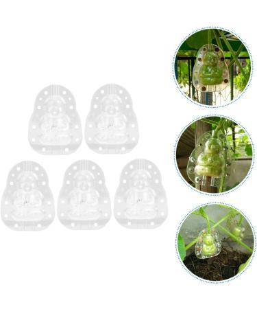 GANAZONO 25 Pcs Vegetable Mini Accessories Pumpkin molds Plastic Reusable molds Cucumber 7.6x5.6cmx5pcs Transparentx5pcs - Buy Online on GoSupps.com