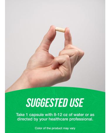 BulkSupplements.com Boswellia Serrata Extract Capsules - Boswellia Serrata Capsules - Boswellia Serrata Supplement Gluten Free 1 Capsule per Serving 240 Veg Capsules (Pack of 1) - Buy Online on GoSupps.com