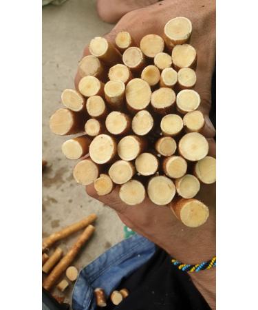 Buy XXL Miswak Siwak - Thick Meswak Pieces | Vegan Wood Toothbrush from Salvadora Persica | Natural Teeth Cleaning - Buy Online on GoSupps.com