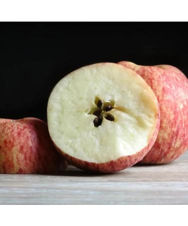 Apple Seed Oil Organic Cold Pressed Unrefined Natural 2 Fl Oz - Buy Online on GoSupps.com