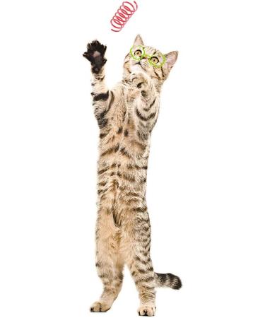 Tamu Style Cat Spring Toys (60 Pack) - BPA-Free Plastic Spirals for Playful Kittens - Colorful 2 Inch Coils for Swatting, Biting, and Hunting - Buy Online on GoSupps.com