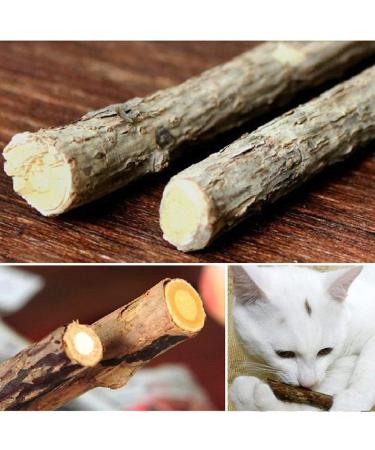 EnjoyMSS Catnip Silvervine Sticks Cat Treat Matatabi Stick Cat Teeth Cleaning stick Rod with Pure Natural Catnip small animal Molar Toothpaste Stick Pet Cat Dental Treat Chew Toy Diameter 0.6-1.3cm 5pcs - Buy Online on GoSupps.com