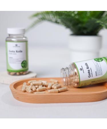 Nature Restore Gotu Kola Extract Supplement 10 Percent Triterpenes Maximum Effectiveness Manufactured in USA 90 Capsules Non GMO Gluten Free Vegan - Buy Online on GoSupps.com