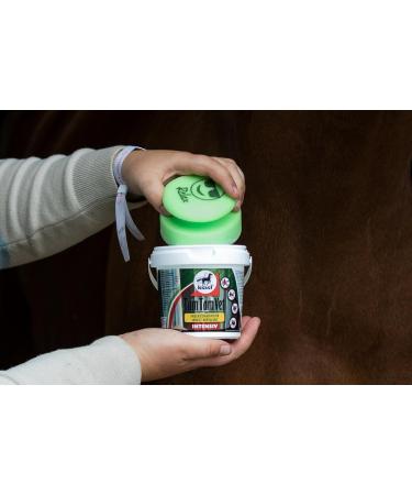 RL24 Leovet Tam Tam Vet Intensive Gel - Insect Protection for Horses | 5 x 500 ml Buckets | Long-Lasting Mosquito Fly & Tick Defense - Buy Online on GoSupps.com