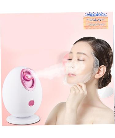 DRESSOOS 1pc Face Humifigier Steamer for Face Hair Steamer Portable Humidifiers White and Face Steamer - Buy Online on GoSupps.com