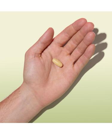 GNC Herbal Plus Milk Thistle 1300mg Extra Strength 120 Caplets 120 Count New - Buy Online on GoSupps.com