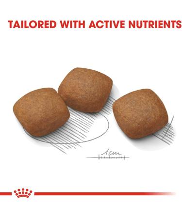 Royal Canin Maxi Joint Care food for dogs prone to joint sensitivity (3kg) - Buy Online on GoSupps.com