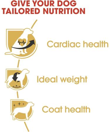 Royal Canin Cavalier King Charles Adult Food 1.5 kg - Buy Online on GoSupps.com