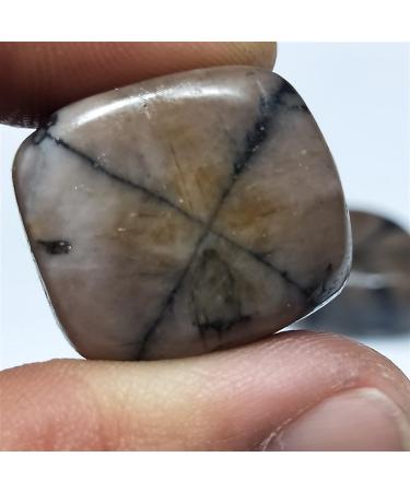 Natural Gemstone raw Staurolite Polished Fairy Cross Stone Specimen ReikiQuartz Crystal Stone as a Gift Home Goods (Color : 2pcs) - Buy Online on GoSupps.com