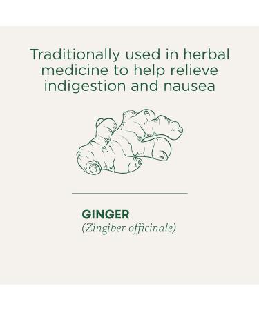 Traditional Medicinals - Organic Ginger Aid Herbal Tea (Pack of 6) - Help Relieve Digestive Upset Indigestion and Nausea - 96 Tea Bags Total Ginger Aid 16 Count (Pack of 6) - Buy Online on GoSupps.com