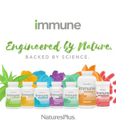 Nature's Plus Immune Vitamin C 500mg - 100 Chewable Tablets for Immune Support - Buy Online on GoSupps.com