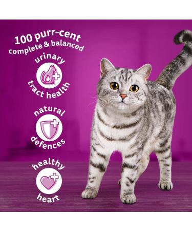 Whiskas 7+ Senior Chicken 4 x 1.9 kg Bags Senior Dry Cat Food 1.9 kg (Pack of 4) - Buy Online on GoSupps.com