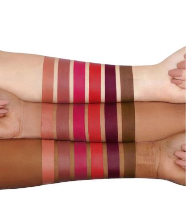Topcent Matte Liquid Lipstick Set - 6 Nude Colors, Non-Stick Cup, Waterproof, Long-Lasting Lip Makeup - Gift Set for Women - Lip Stains Pack (SET-A) - Buy Online on GoSupps.com