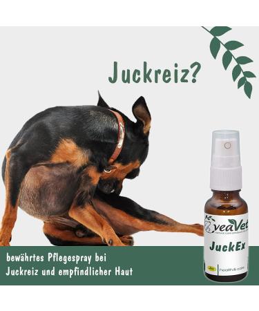 CDVet Veavet Juckex 100 ml - Natural Care Spray for Dogs Cats & Horses | Wound Protection & Regeneration with Mushroom Extract - Buy Online on GoSupps.com