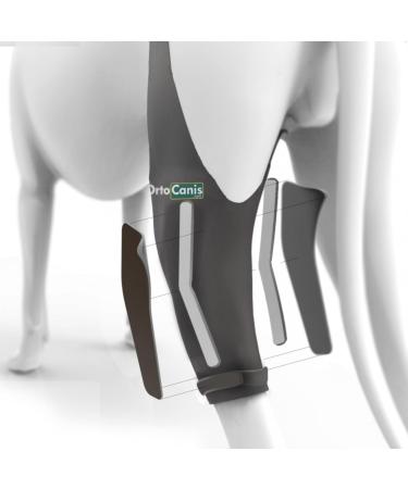 Ortocanis - Knee Brace for Dogs with Ligament Rupture and Patella Luxation Size XXS Right Leg Right leg Size XXS - Buy Online on GoSupps.com