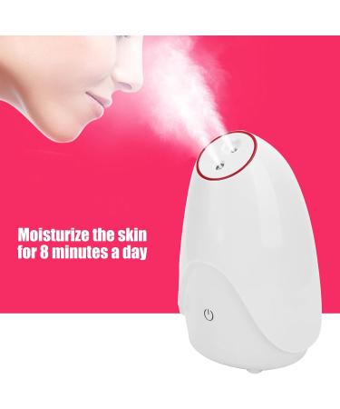  LUNWJJIP Ionic facial steamer 80ml water tank for facial use hot and cold steam - Buy Online on GoSupps.com