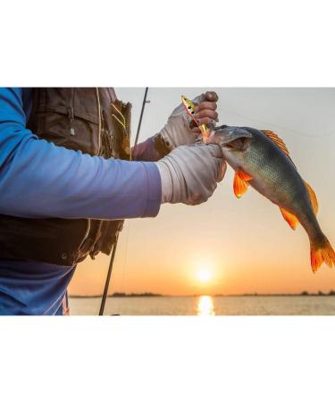 6PCS Bass Fishing Lure Set with Rotating Tail and Floating Design - Perfect Gift for Anglers | Hard Bait Fishing Lures Kit with Box - Ideal for Bass Fishing Enthusiasts - Buy Online on GoSupps.com