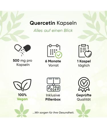 Biotary Quercetin 180 Capsules - High-Dose Vegan Supplement with 95% Japanese Cord Blossom Extract | 6 Month Supply - Buy Online on GoSupps.com