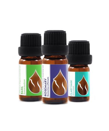 Set "Hair Repair" Organic Essential Oils | Basil (10ml) + Rosemary (10ml) + Clary Sage (5ml) | 100% Pure and Natural | Undiluted | Therapeutic Grade | Family-Owned Farm | Non-GMO Set "Hair Repair" 25.00 ml (Pack of 1)