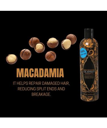 Stalwart 165862-itp Macadamia Shampoo 400 ml - Buy Online on GoSupps.com