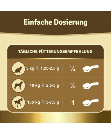 Veddelholzer Natural Green Lip Powder for Dogs - 500g High-Quality Green Lip Mussel Supplement - Buy Online on GoSupps.com