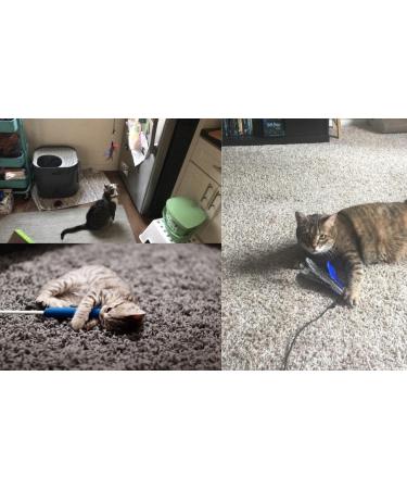 Cat Feather Toys Set with Wand and Refills - Interactive Cat Toys - Buy Online on GoSupps.com