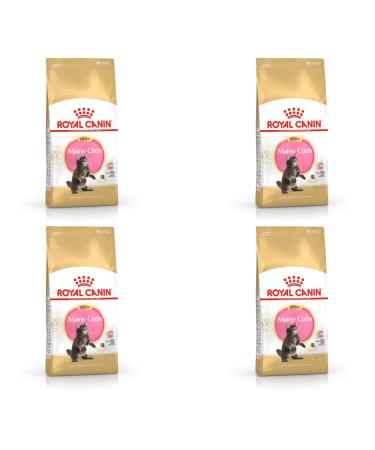 Royal Canin Maine Coon Kitten Dry Cat Food 4 x 400g