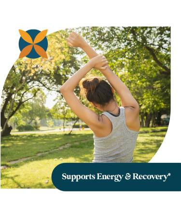 Pattern Wellness Ashwagandha Complex for Men & Women Organic KSM-66 & Black Pepper Extract Supports Stress Response & Energy Balance Non-GMO 60 Vegan Capsules 60 Count (Pack of 1) - Buy Online on GoSupps.com