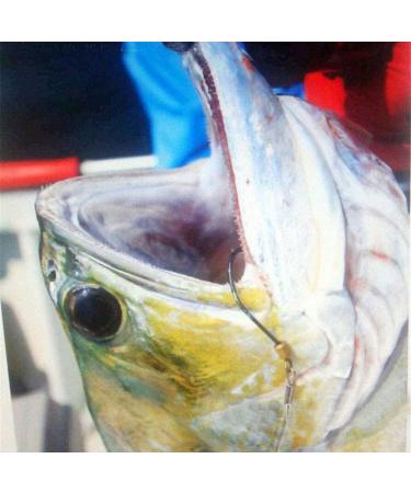 Fishing Hook with Leader 5 Hooks Fishing Rig - 7 Strands Nylon Coated Leader | Swivel Snap Hooks | 18# 1 Hook Rig - Buy Online on GoSupps.com