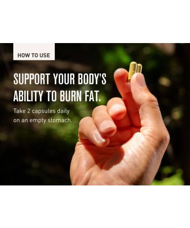 ROUNDHOUSE PROVISION Three Hit Combo by Chuck Norris Fat Burner Energy Booster & Wellness Support 30-Day Supply (60 Capsules) - Buy Online on GoSupps.com