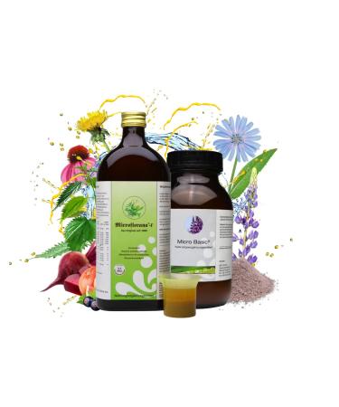 Microflorana intestinal treatment - probiotics and prebiotics - Living intestinal bacteria - bacteria food - intestinal renovation - cultures complex - the optimal couple - set (large intestinal renovation)