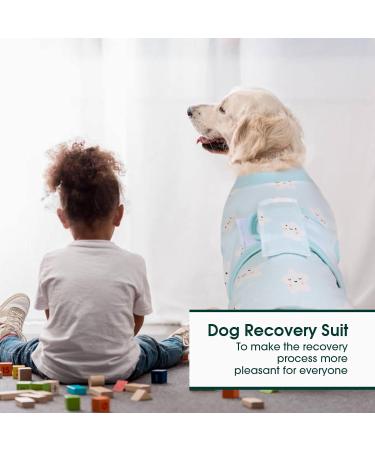 Kuoser Dog Body Suit for Post-Surgery - Breathable & Leakage Protection for Male Dogs - Anti-Licking Recovery Wrap (Star XXL Green) - Buy Online on GoSupps.com