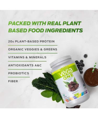 Vega One All-In-One Shake Berry - Nutrient-Dense Protein Powder 1.51 lbs (688 g) - Buy Online on GoSupps.com