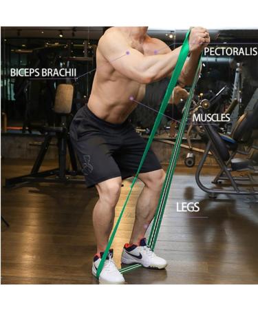 Exercise Stretch Bands for Gym Work Pull Up Assistance Bands Fabric Resistance Long Strap for Gym Work 1 der2 (D 1) - Buy Online on GoSupps.com
