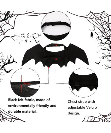 Shop Halloween Pet Bat Costumes | Cat & Dog Bat Wings with Pumpkin Bells - Buy Online on GoSupps.com
